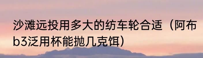 沙滩远投用多大的纺车轮合适（阿布b3泛用杯能抛几克饵）