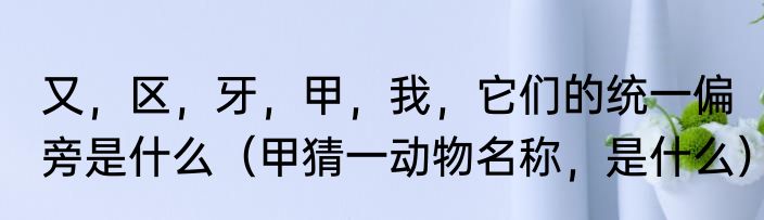又，区，牙，甲，我，它们的统一偏旁是什么（甲猜一动物名称，是什么）