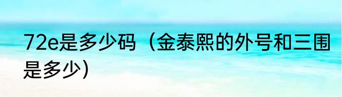 72e是多少码（金泰熙的外号和三围是多少）