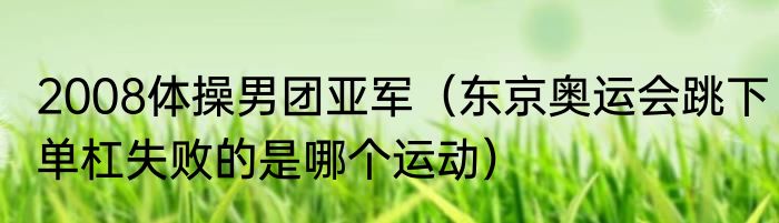2008体操男团亚军（东京奥运会跳下单杠失败的是哪个运动）