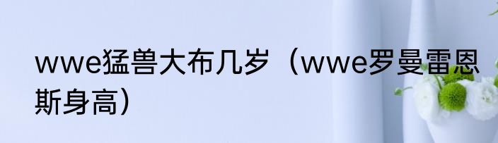 wwe猛兽大布几岁（wwe罗曼雷恩斯身高）