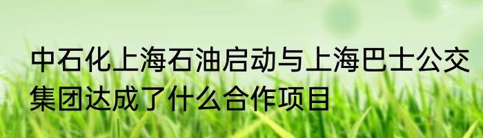 中石化上海石油启动与上海巴士公交集团达成了什么合作项目