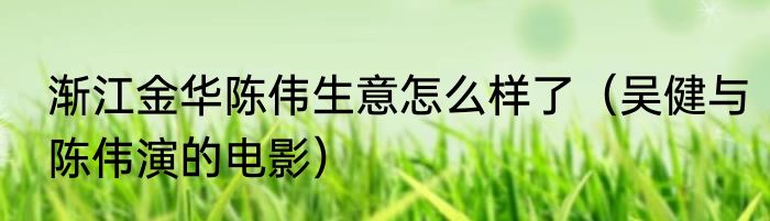 渐江金华陈伟生意怎么样了（吴健与陈伟演的电影）