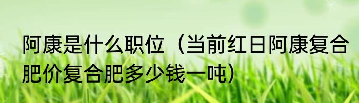 阿康是什么职位（当前红日阿康复合肥价复合肥多少钱一吨）