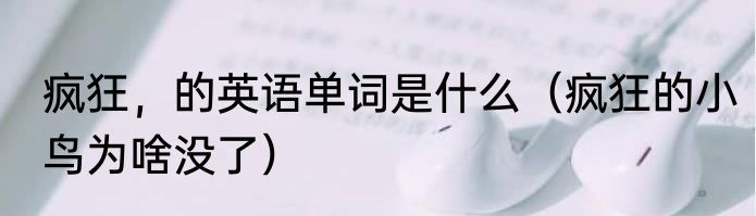 疯狂，的英语单词是什么（疯狂的小鸟为啥没了）