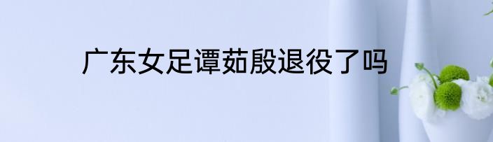 广东女足谭茹殷退役了吗