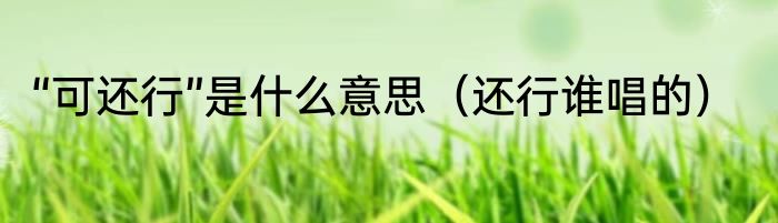 “可还行”是什么意思（还行谁唱的）