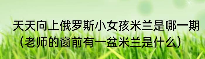 天天向上俄罗斯小女孩米兰是哪一期（老师的窗前有一盆米兰是什么）