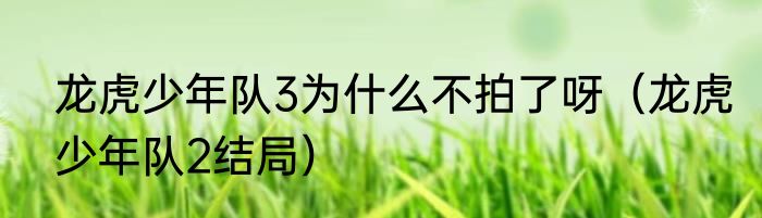 龙虎少年队3为什么不拍了呀（龙虎少年队2结局）