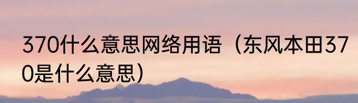 370什么意思网络用语（东风本田370是什么意思）