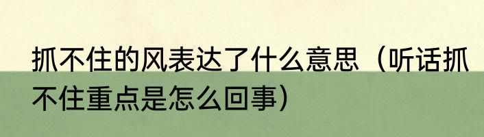 抓不住的风表达了什么意思（听话抓不住重点是怎么回事）