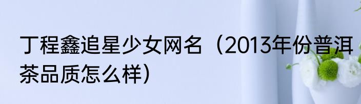 丁程鑫追星少女网名（2013年份普洱茶品质怎么样）