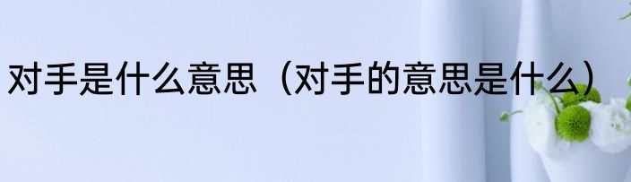 对手是什么意思（对手的意思是什么）