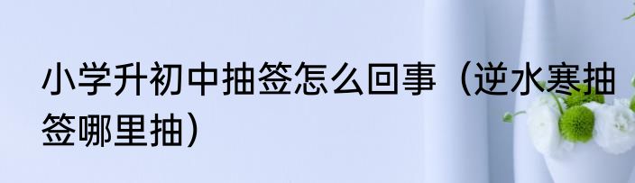 小学升初中抽签怎么回事（逆水寒抽签哪里抽）