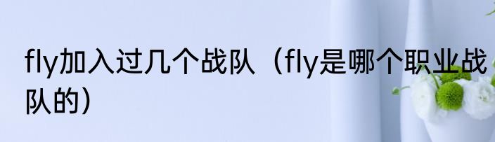fly加入过几个战队（fly是哪个职业战队的）