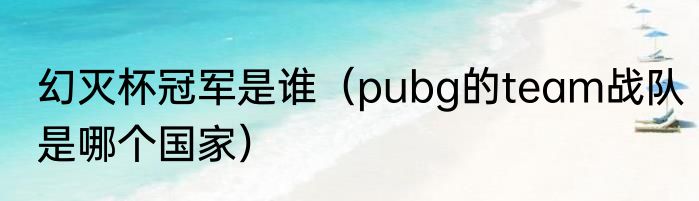 幻灭杯冠军是谁（pubg的team战队是哪个国家）