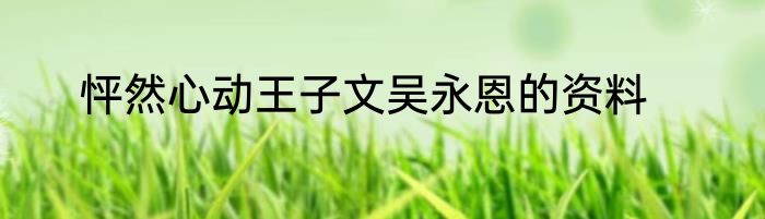 怦然心动王子文吴永恩的资料