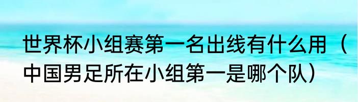 世界杯小组赛第一名出线有什么用（中国男足所在小组第一是哪个队）