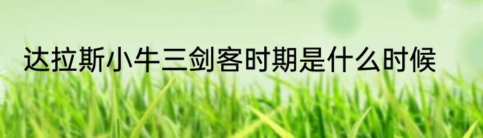 达拉斯小牛三剑客时期是什么时候