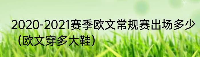 2020-2021赛季欧文常规赛出场多少（欧文穿多大鞋）