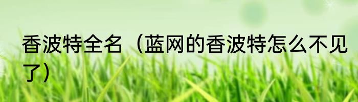 香波特全名（蓝网的香波特怎么不见了）