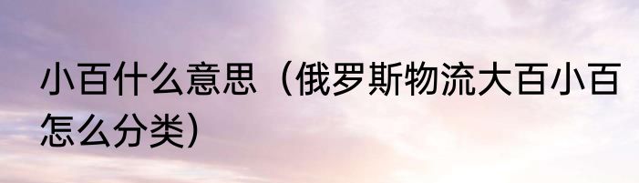 小百什么意思（俄罗斯物流大百小百怎么分类）