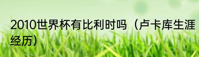 2010世界杯有比利时吗（卢卡库生涯经历）