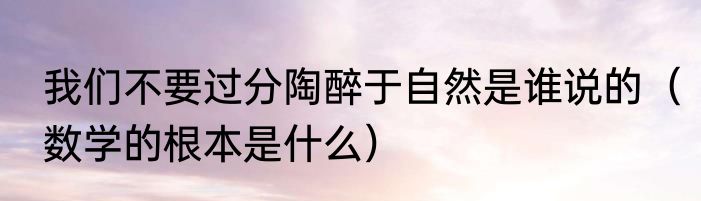 我们不要过分陶醉于自然是谁说的（数学的根本是什么）