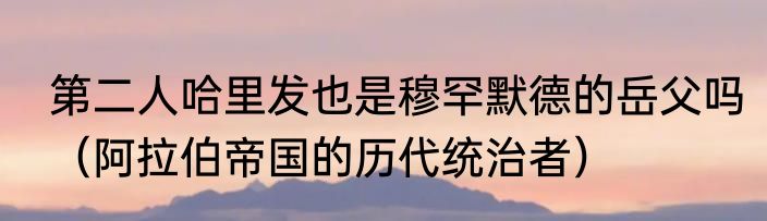 第二人哈里发也是穆罕默德的岳父吗（阿拉伯帝国的历代统治者）