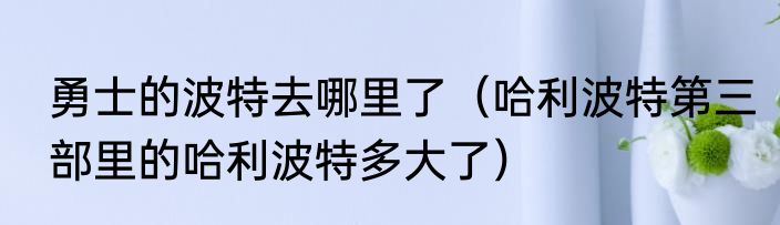 勇士的波特去哪里了（哈利波特第三部里的哈利波特多大了）
