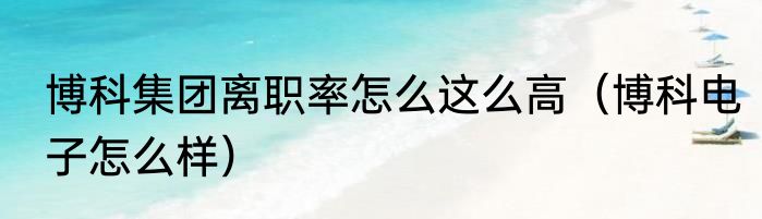 博科集团离职率怎么这么高（博科电子怎么样）