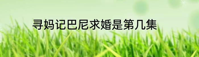 寻妈记巴尼求婚是第几集