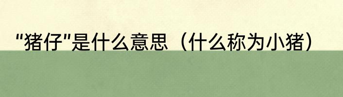 “猪仔”是什么意思（什么称为小猪）