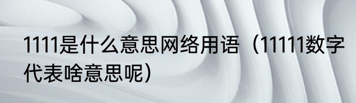 1111是什么意思网络用语（11111数字代表啥意思呢）