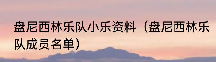 盘尼西林乐队小乐资料（盘尼西林乐队成员名单）