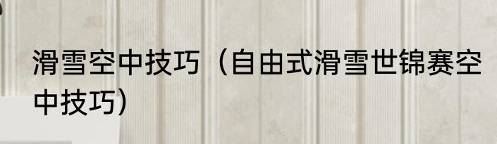 滑雪空中技巧（自由式滑雪世锦赛空中技巧）