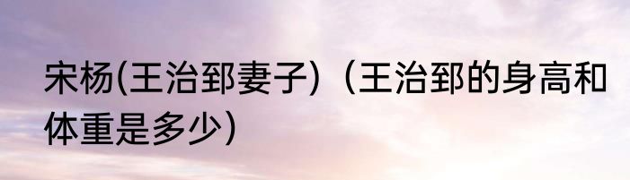 宋杨(王治郅妻子)（王治郅的身高和体重是多少）