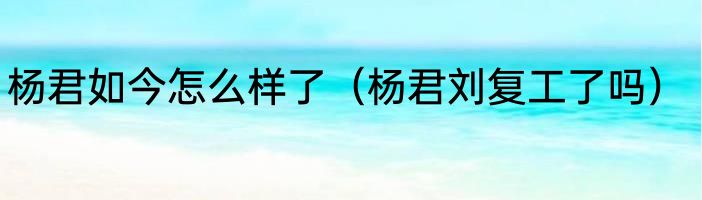 杨君如今怎么样了（杨君刘复工了吗）