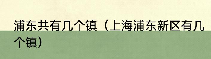 浦东共有几个镇（上海浦东新区有几个镇）