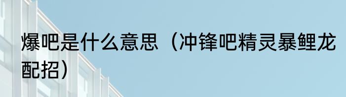 爆吧是什么意思（冲锋吧精灵暴鲤龙配招）