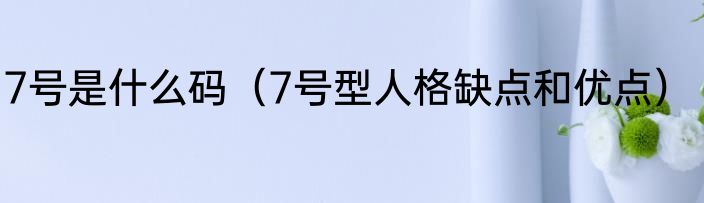 7号是什么码（7号型人格缺点和优点）