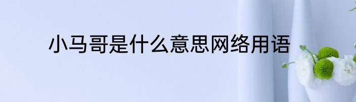 小马哥是什么意思网络用语