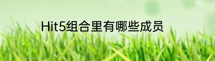 Hit5组合里有哪些成员