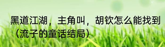 黑道江湖，主角叫，胡钦怎么能找到（流子的童话结局）