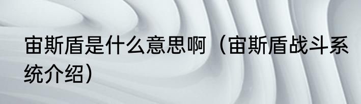 宙斯盾是什么意思啊（宙斯盾战斗系统介绍）