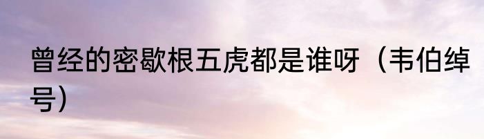 曾经的密歇根五虎都是谁呀（韦伯绰号）