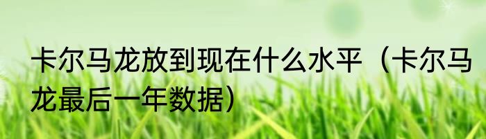 卡尔马龙放到现在什么水平（卡尔马龙最后一年数据）