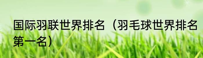 国际羽联世界排名（羽毛球世界排名第一名）