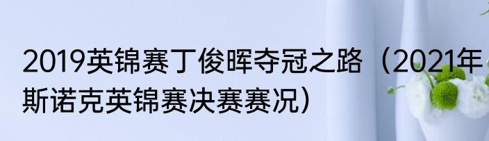 2019英锦赛丁俊晖夺冠之路（2021年斯诺克英锦赛决赛赛况）