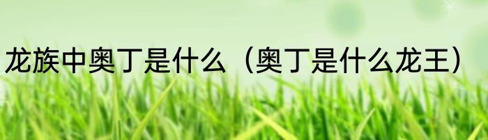 龙族中奥丁是什么（奥丁是什么龙王）